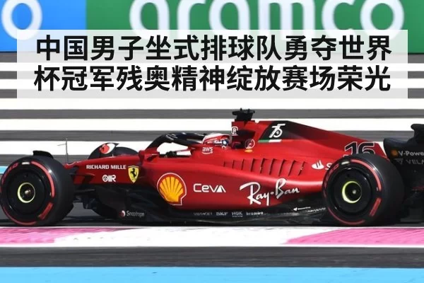 中国男子坐式排球队勇夺世界杯冠军残奥精神绽放赛场荣光